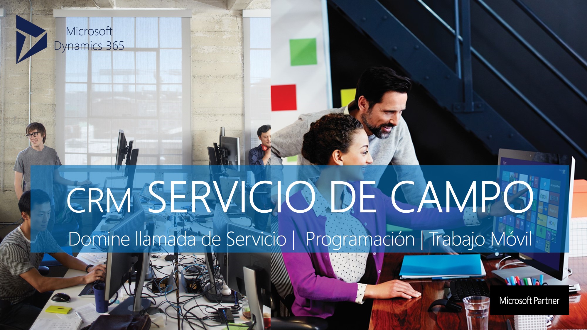 servicio de campo